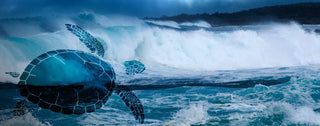 Leatherback Sea Turtle Giant 0320 Series
