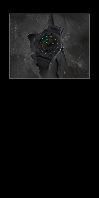 Luminox Navy SEAL Limited Edition Watch