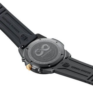 Pacific Diver Chronograph 3140 Year of the Snake Limited Edition  - XS.3141.BO.SNAK.N