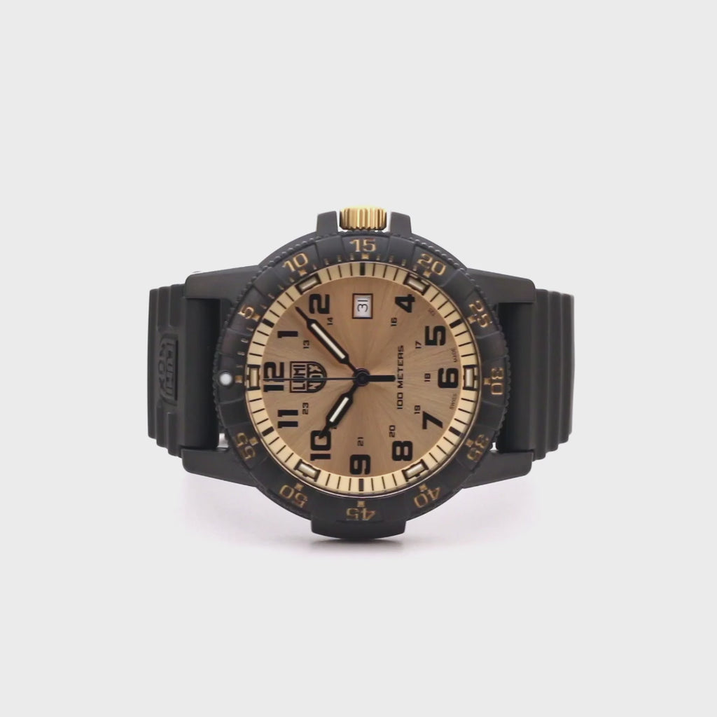Luminox Watches for Men - Luminox Leatherback Sea Turtle Watches - Swiss Watches