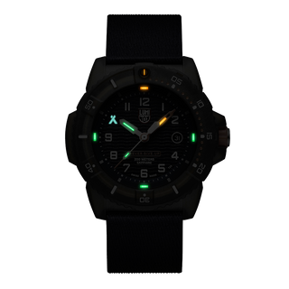 Bear Grylls Luminox Watches for Men